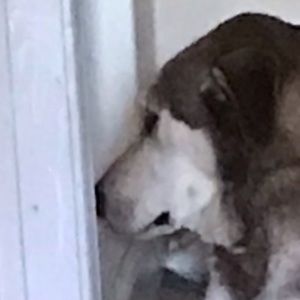 Meet your Posher, Melanie